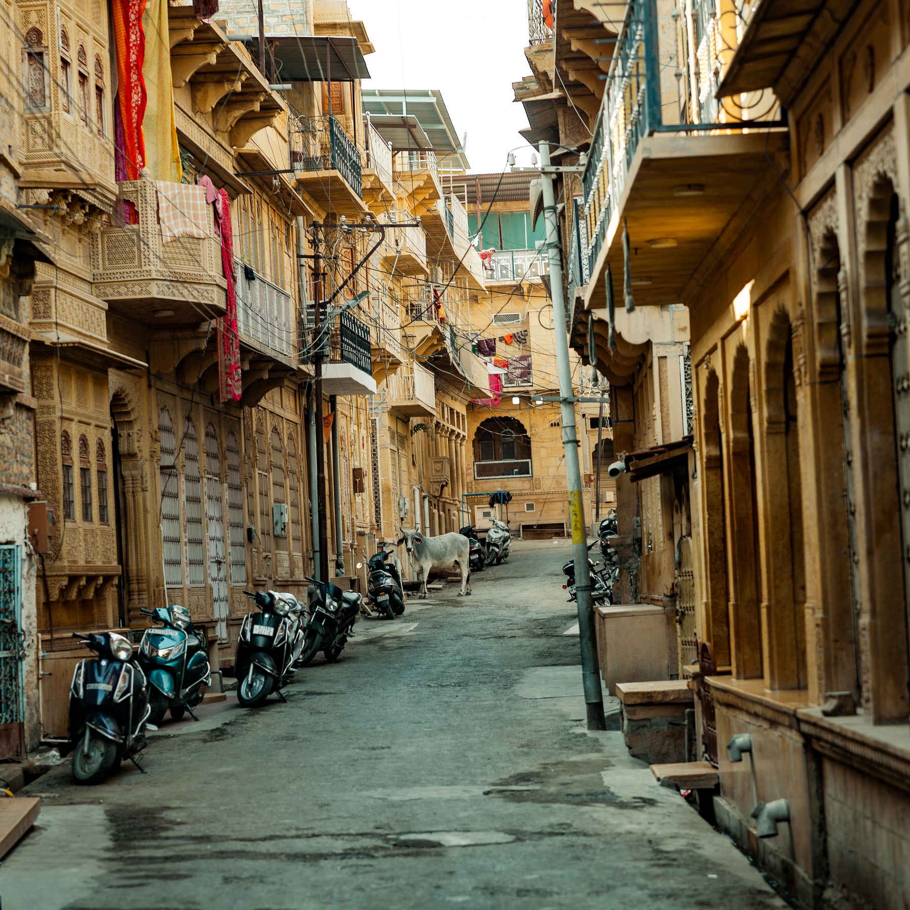 Cow Parked With Scooters On Jaisalmer Lane